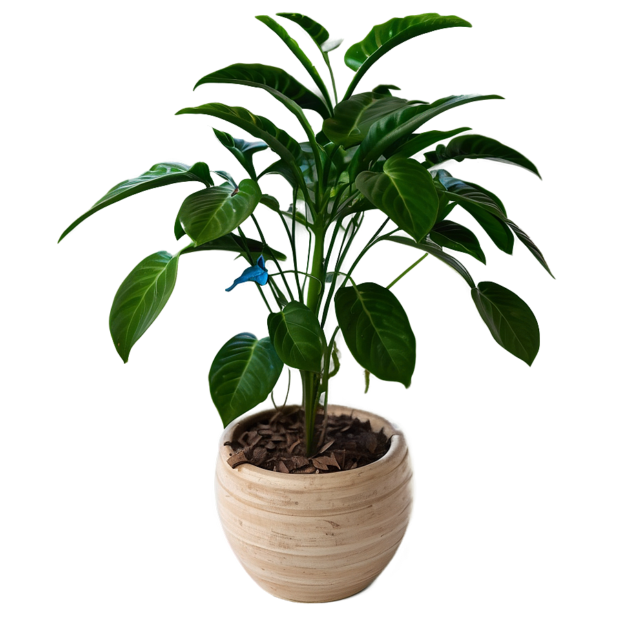 Lush Hanging Plant Png Vxc62 PNG Image