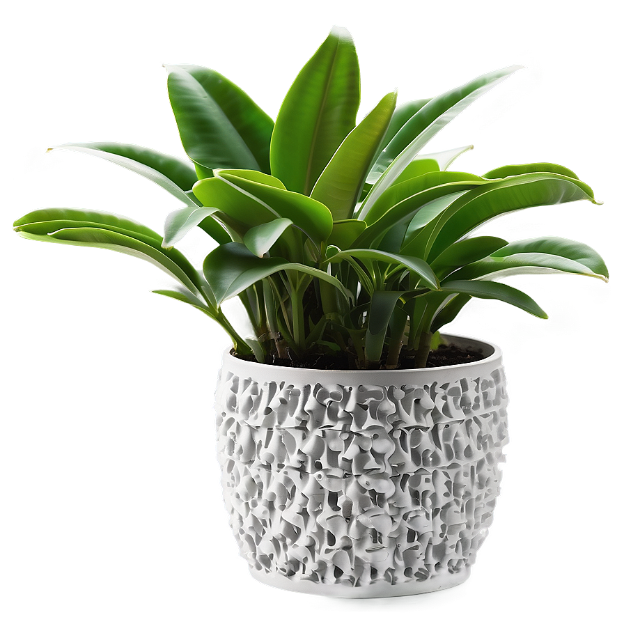 Lush Indoor Plant Png Lfk26 PNG Image