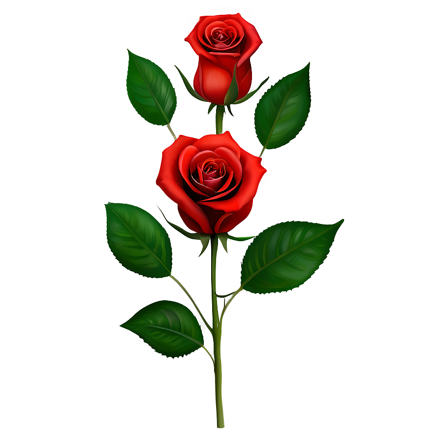 Lush Red Rose Png Auj PNG Image