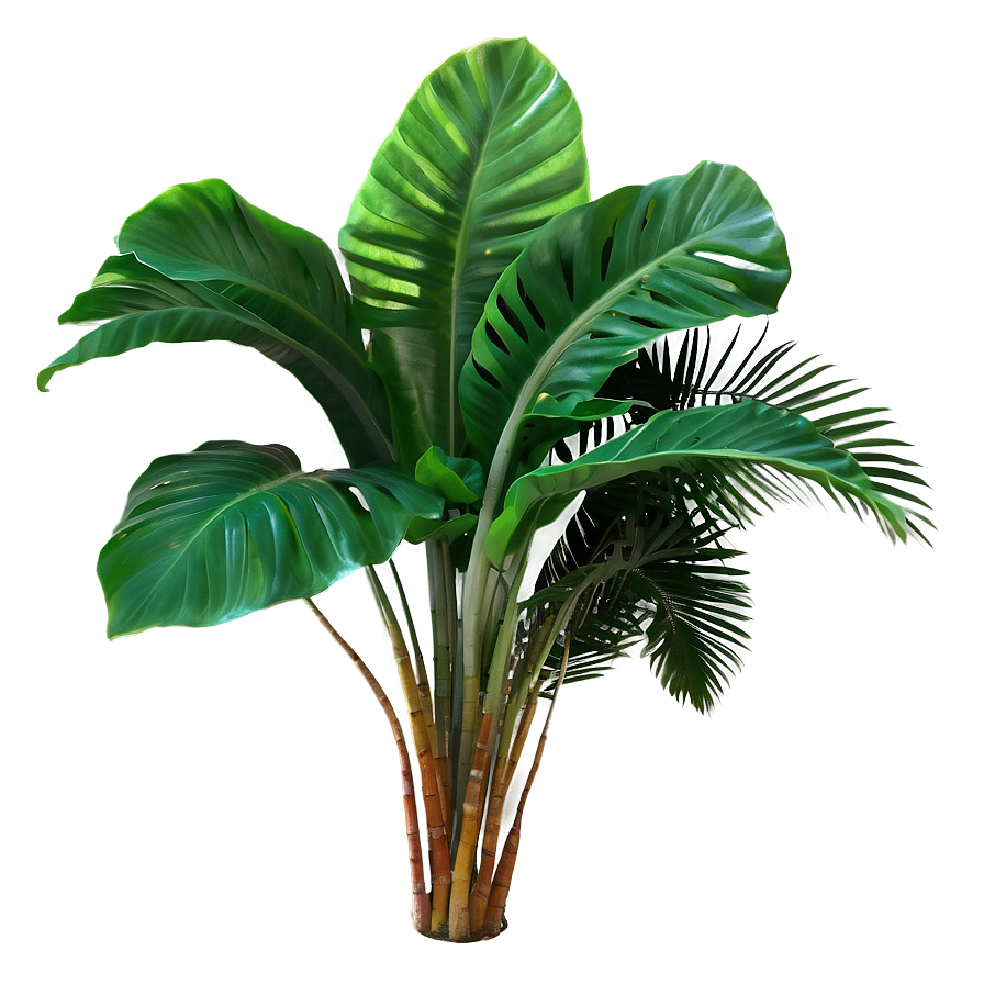 Lush Tropical Plant Png 06272024 PNG Image