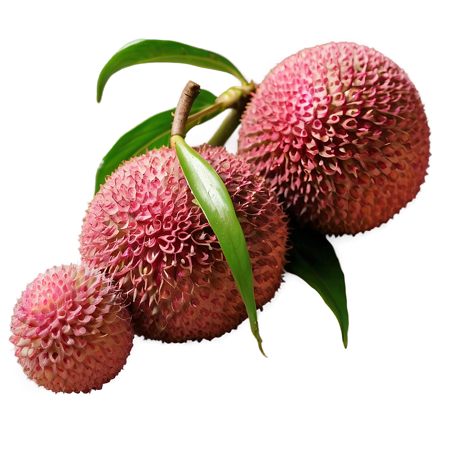 Lychee B PNG Image