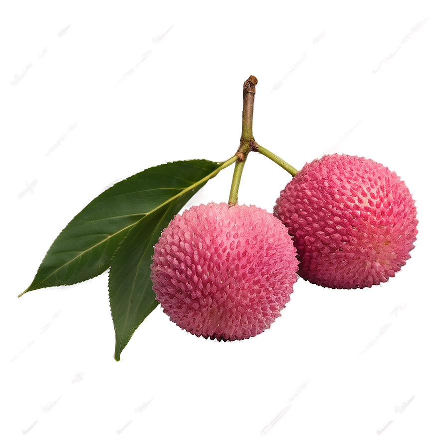 Lychee Pink Flesh Png 06252024 PNG Image