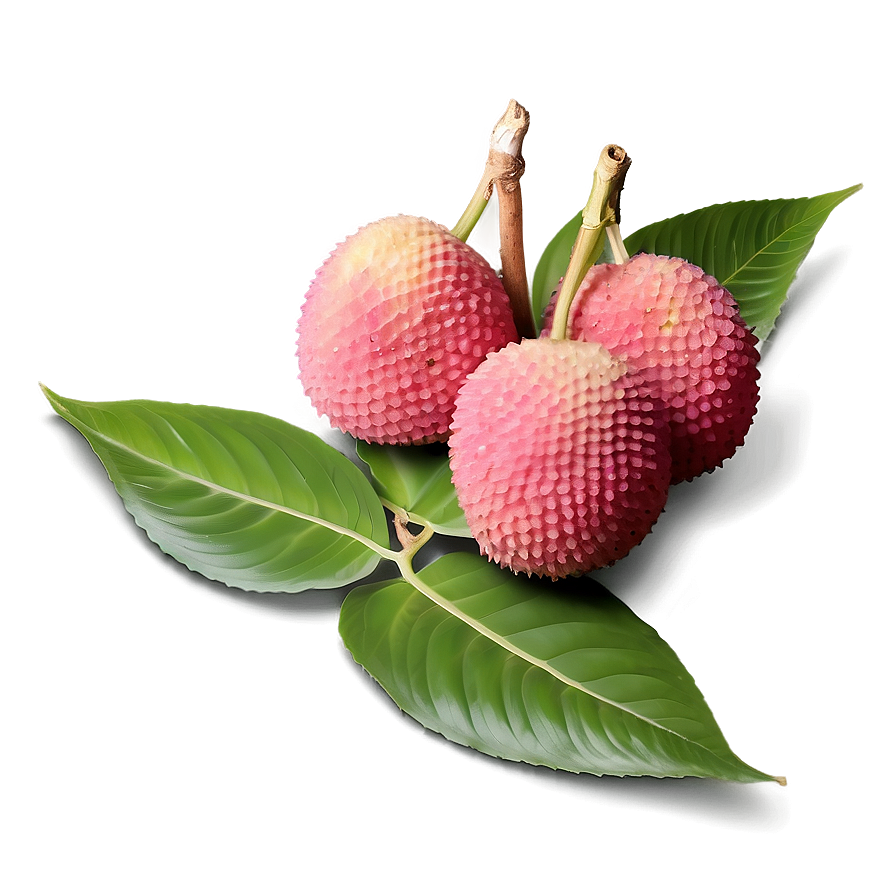 Lychee With Leaf Png Qua PNG Image