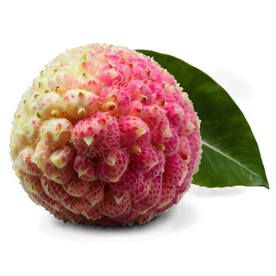 Lychee With Leaf Png Qvs21 PNG Image