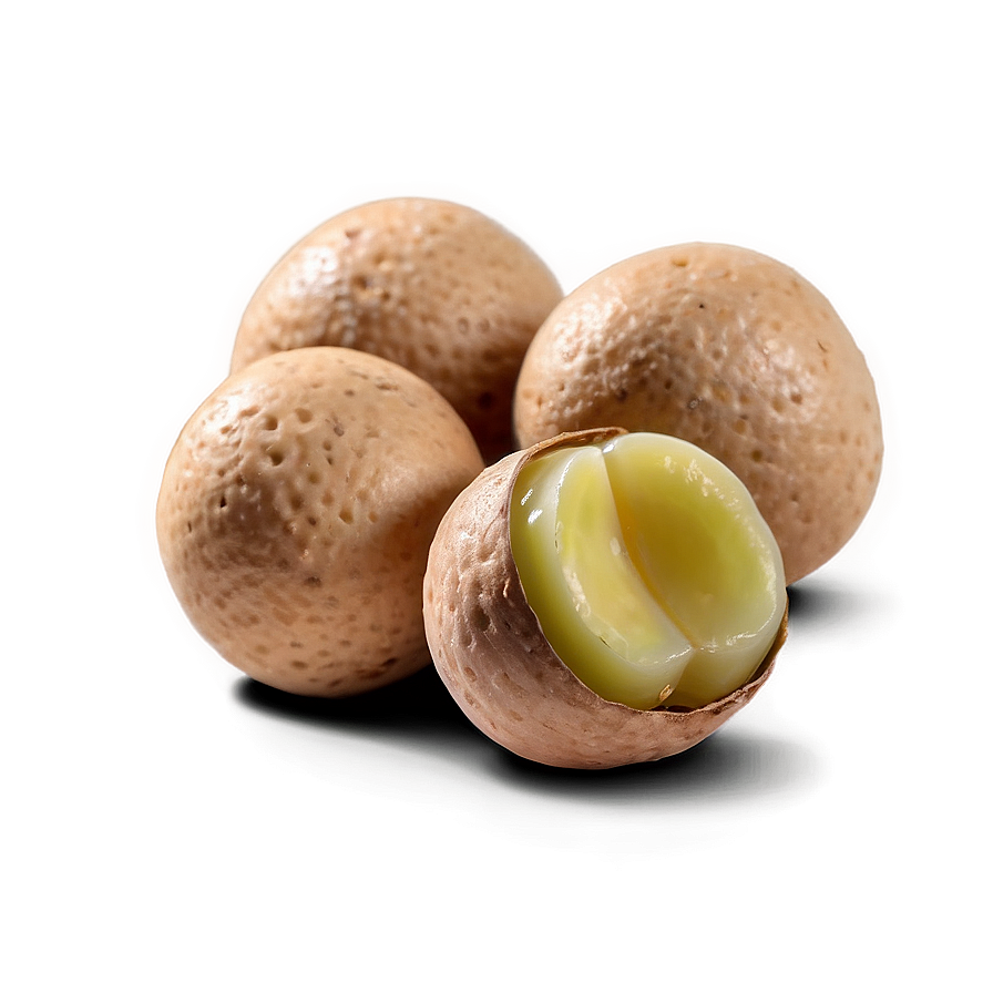 Macadamia Nut Png 06122024 PNG Image