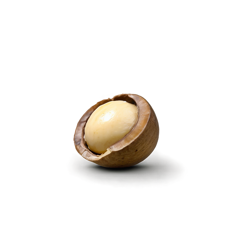 Macadamia Nut Png Bjl72 PNG Image