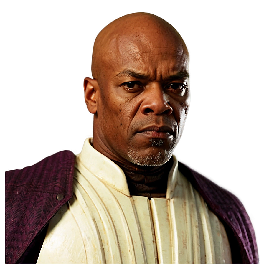 Mace Windu D PNG Image