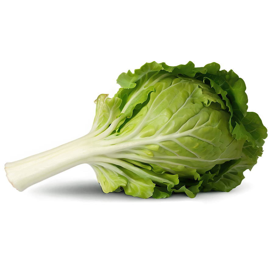 Mâche Lettuce Png Asy97 PNG Image