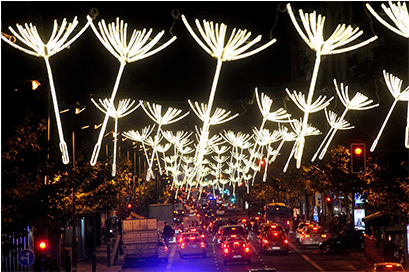 Madrid Christmas Lights Dandelion Design PNG Image