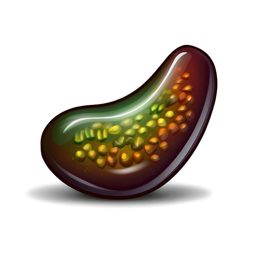 Magic Bean Icon Png Ehw PNG Image