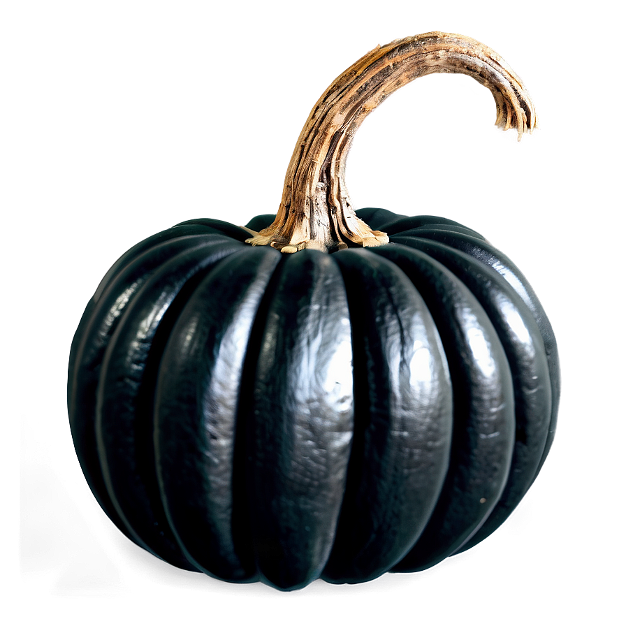 Magical Black Pumpkin Png 06282024 PNG Image