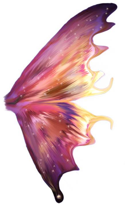 Magical Fairy Wing Illustration PNG Image