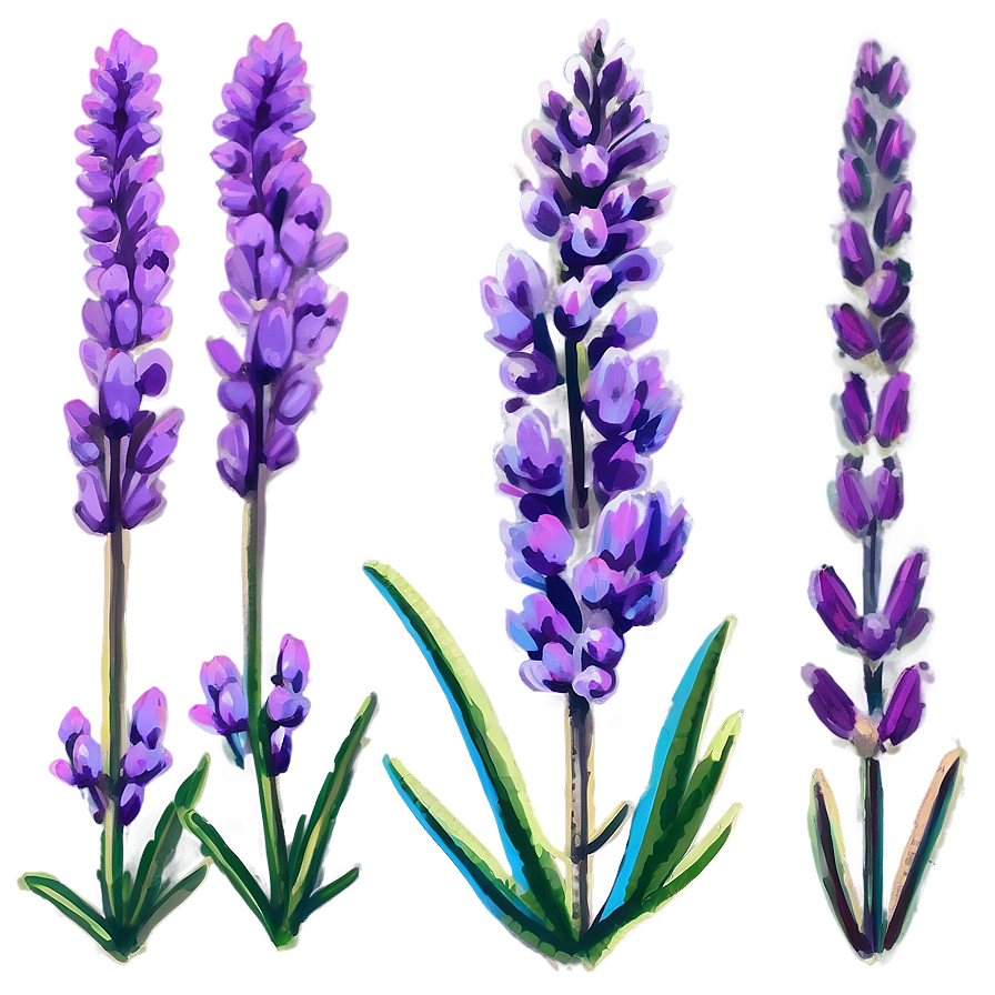 Magical Heather Png Ltf59 PNG Image