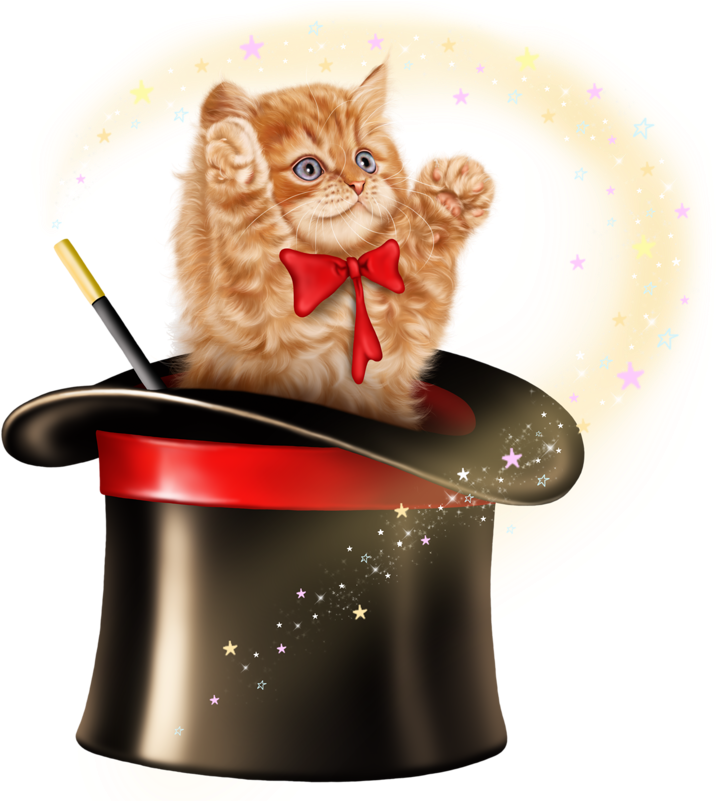 Magical Kitten Emerging From Hat PNG Image