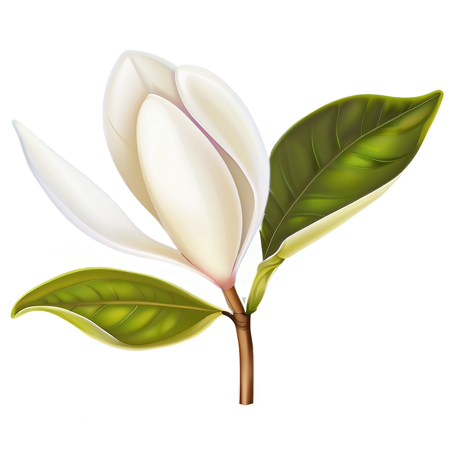 Magnolia Flower Vector Png Vmg PNG Image