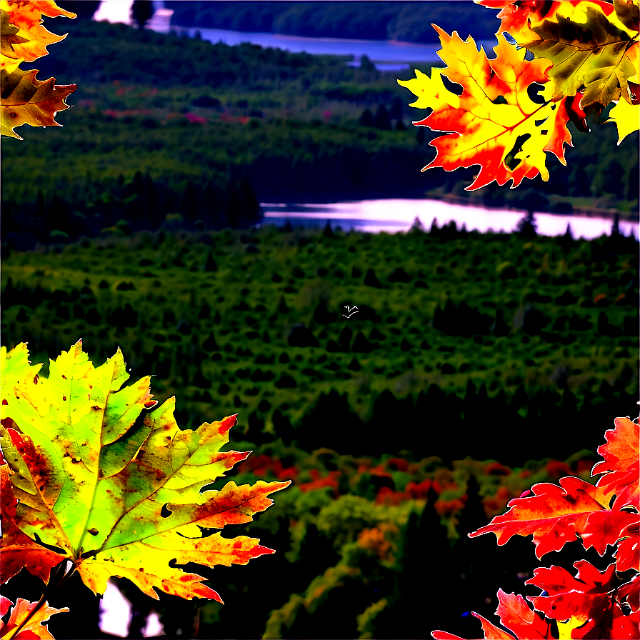 Maine Fall Foliage Splendor Png Tds74 PNG Image