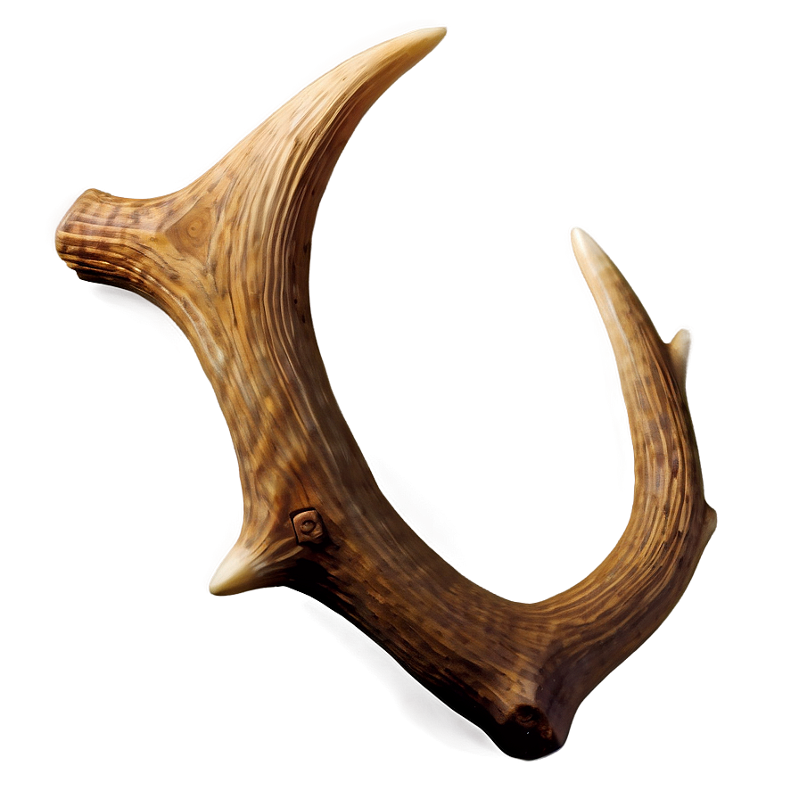 Majestic Antler Render Png 90 PNG Image