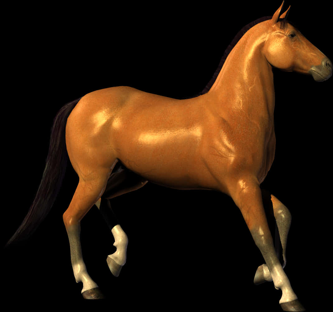 Majestic Bay Horse Black Background PNG Image