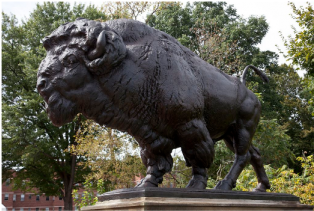 Majestic Bison Statue PNG Image