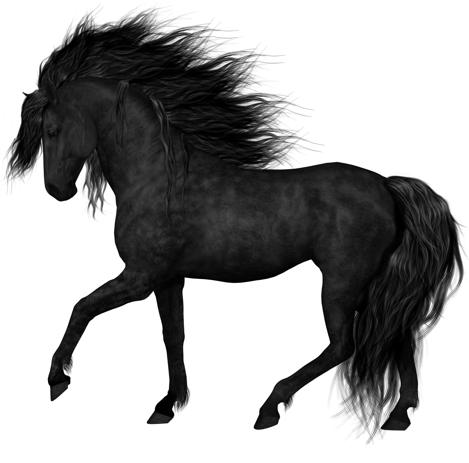 Majestic Black Horse Galloping PNG Image