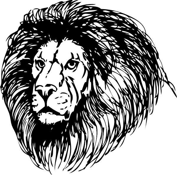 Majestic Black Lion Illustration PNG Image