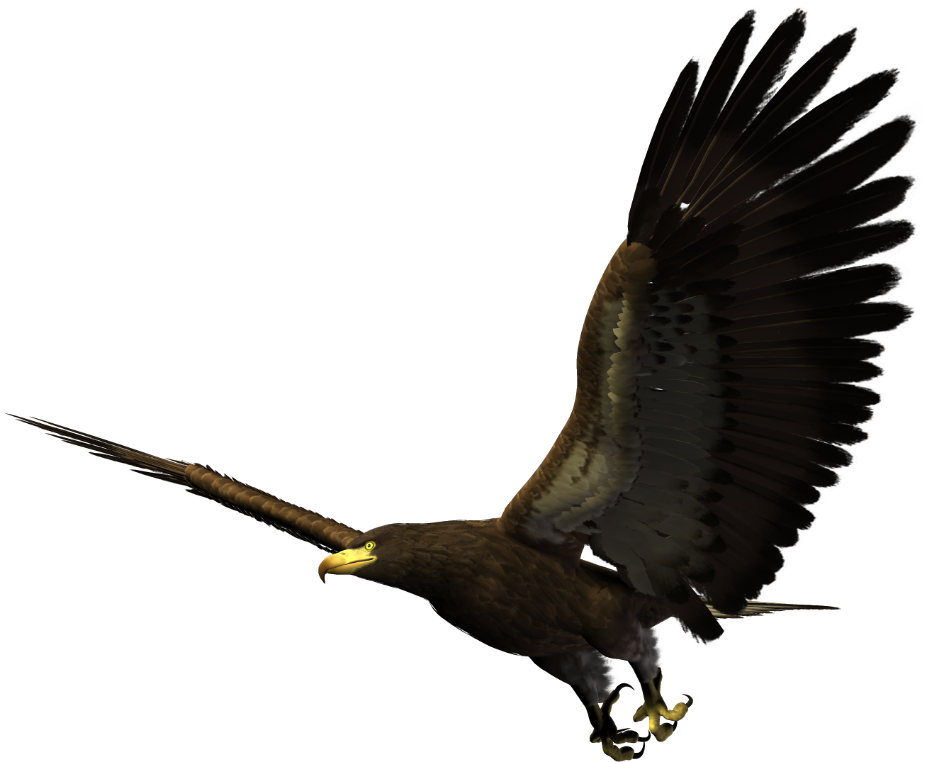 Majestic_ Eagle_ In_ Flight.png PNG Image