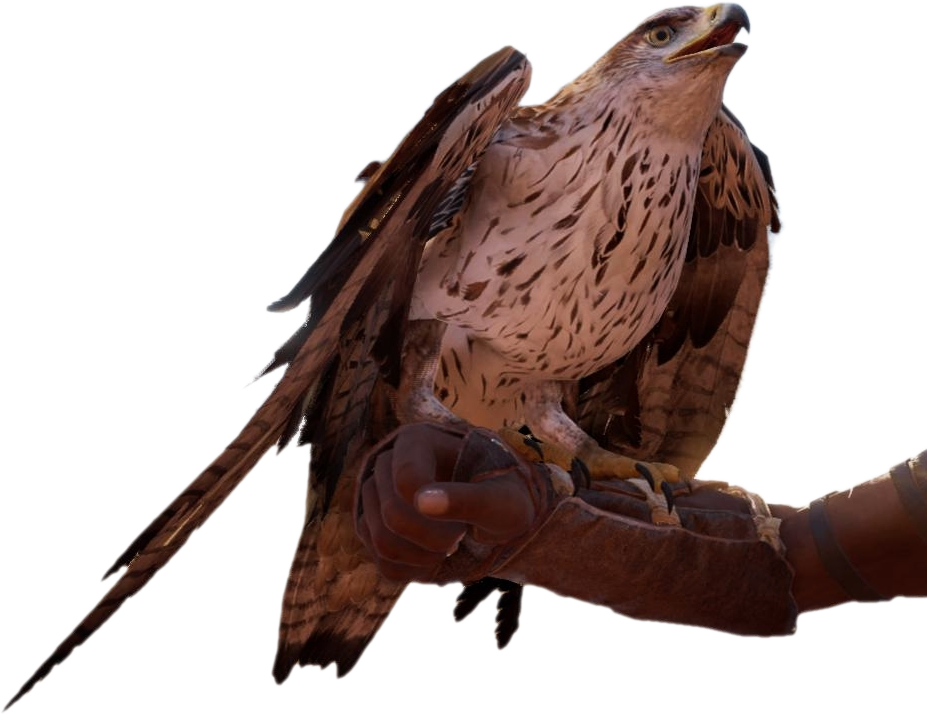 Majestic Eagle Perchedon Glove PNG Image