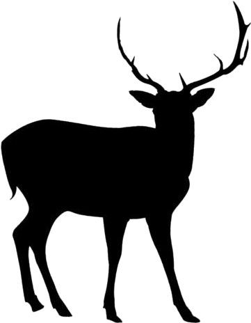 Majestic Elk Silhouette PNG Image