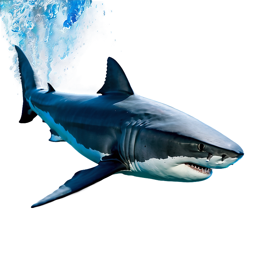 Majestic Great White Shark Png 62 PNG Image