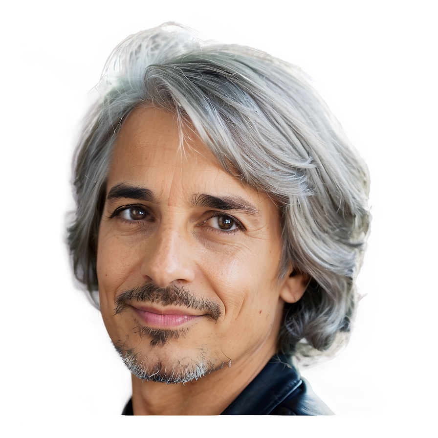 Majestic Grey Hair Png 06282024 PNG Image