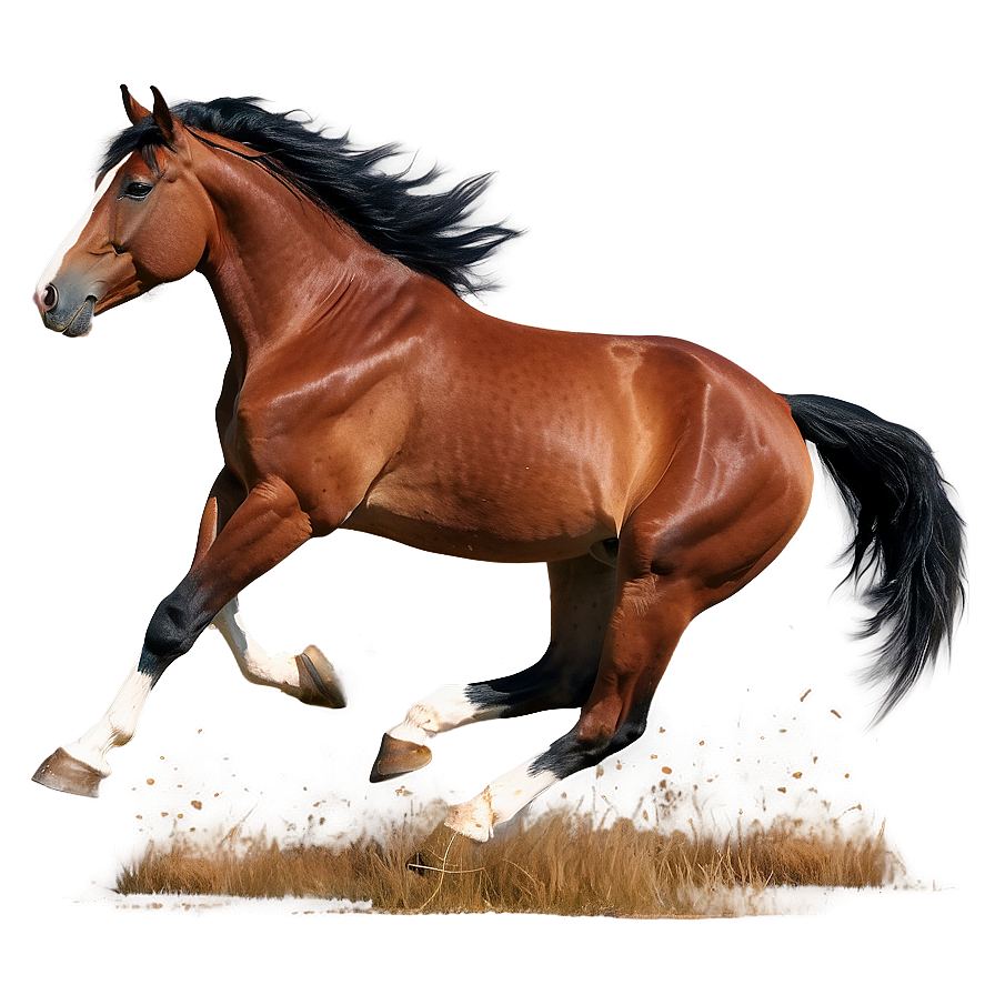 Majestic Horse Gallop Png Crq PNG Image