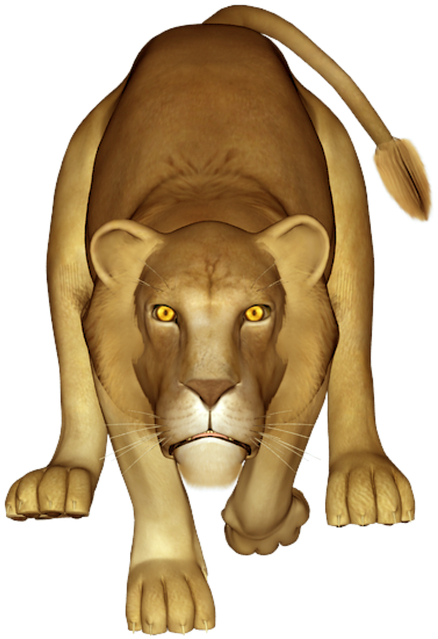 Majestic Lioness Prowling PNG Image