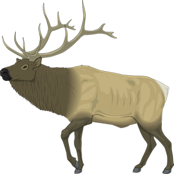 Majestic Moose Illustration PNG Image