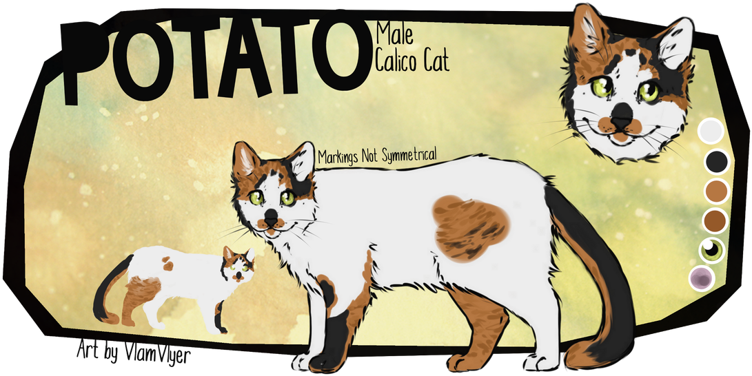 Male Calico Cat Illustration PNG Image