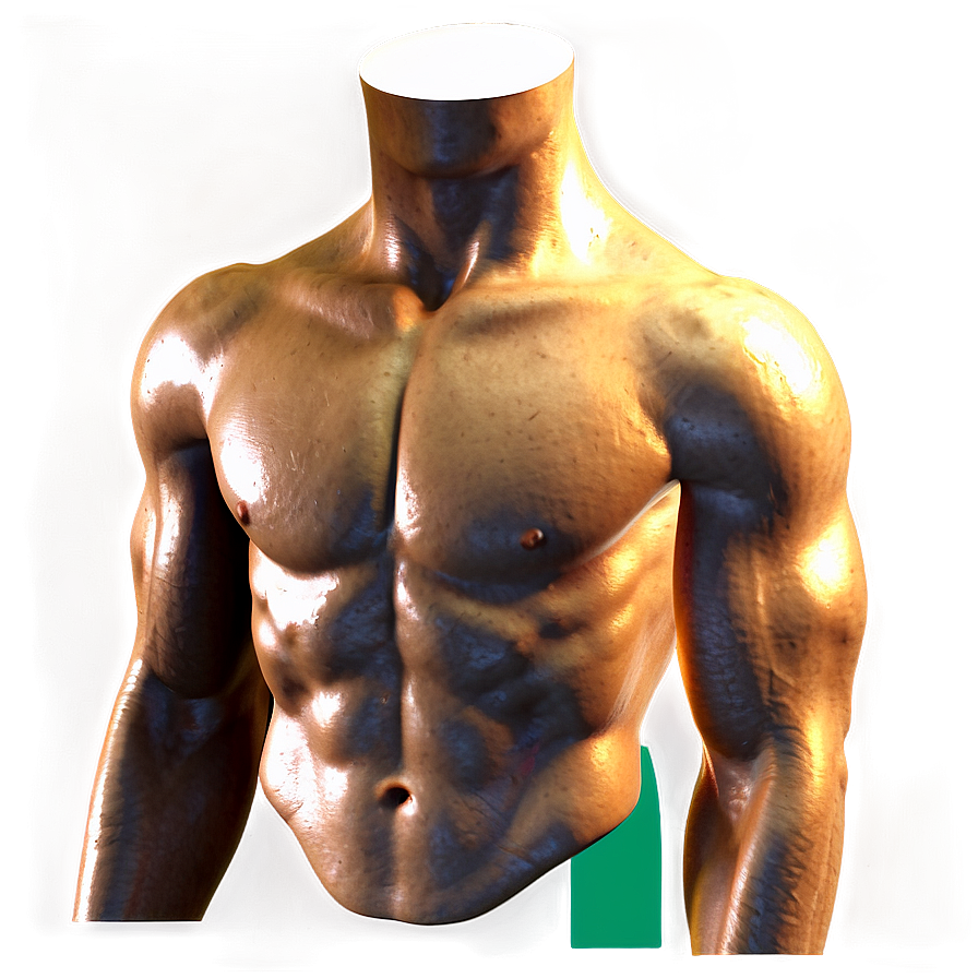 Male Torso Reference Png 06282024 PNG Image