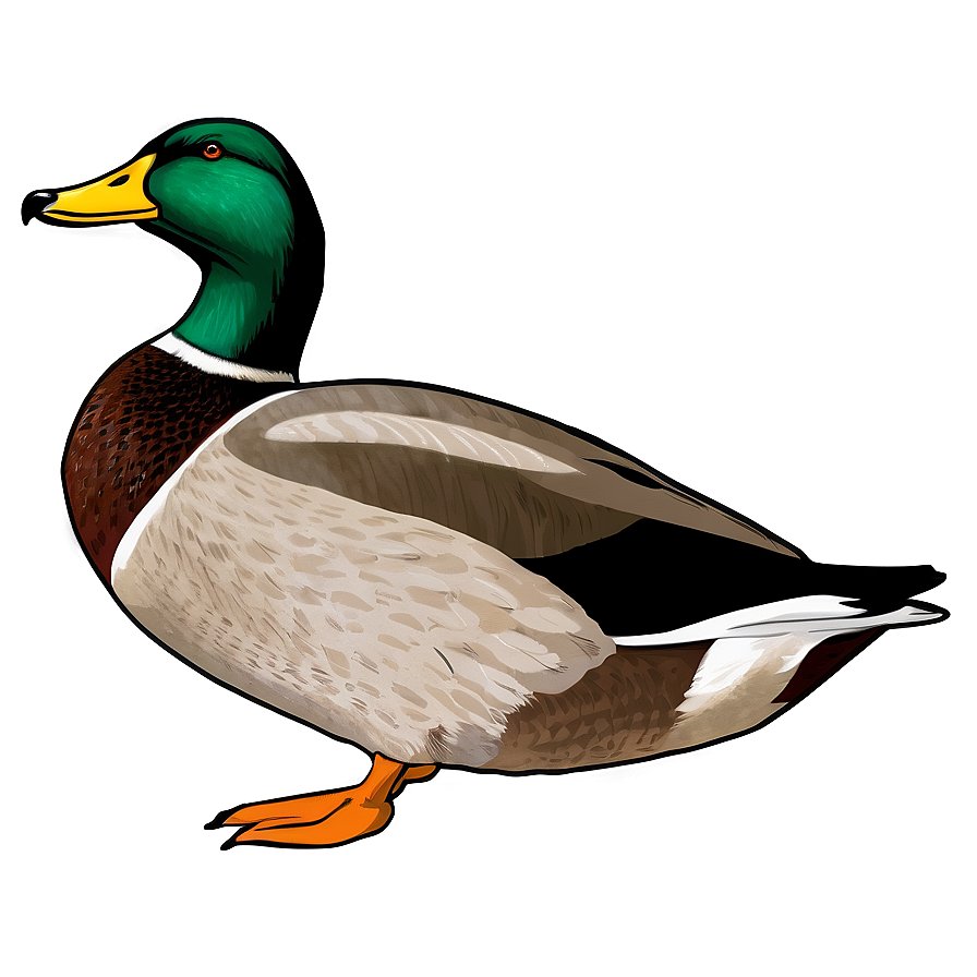 Mallard Duck Outline Png 32 PNG Image