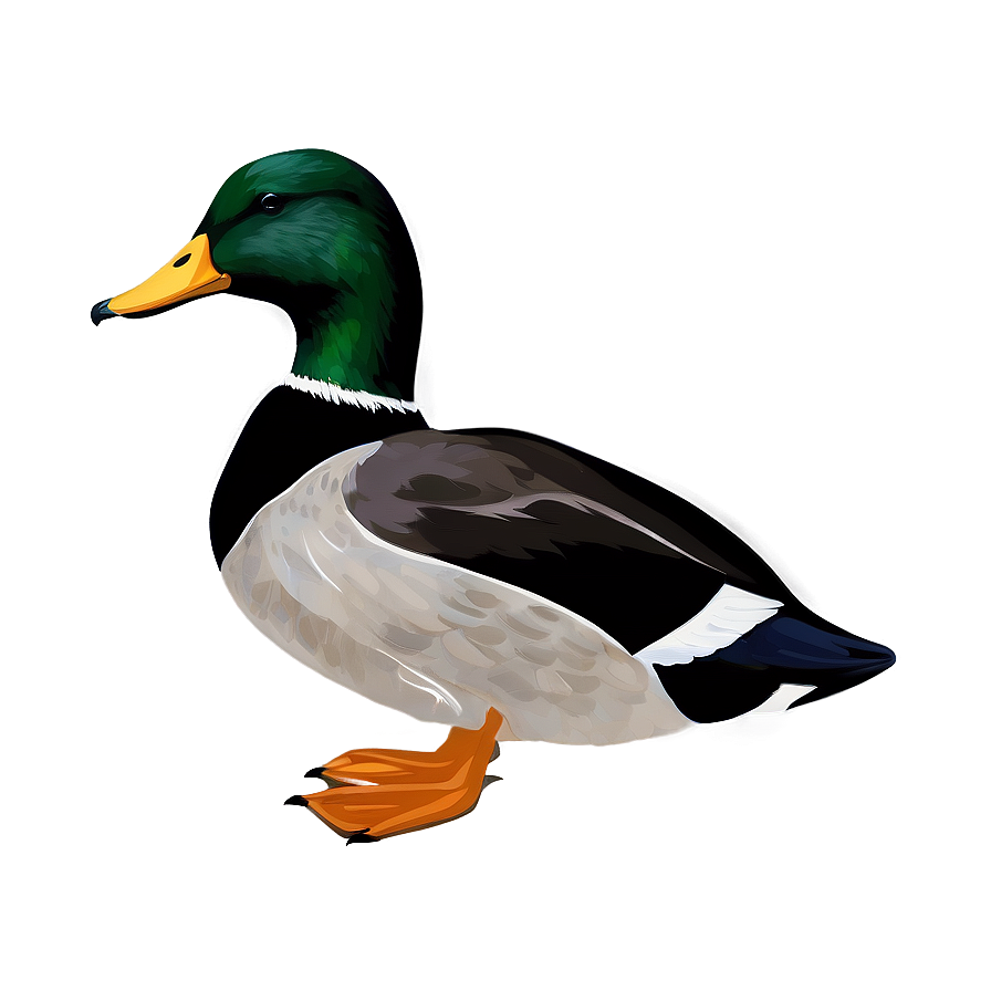 Mallard Duck Silhouette Png Hty56 PNG Image