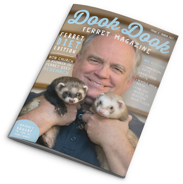 Man Holding Ferrets Ferret Magazine Cover PNG Image