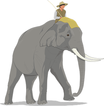 Man_ Riding_ Elephant_ Illustration PNG Image