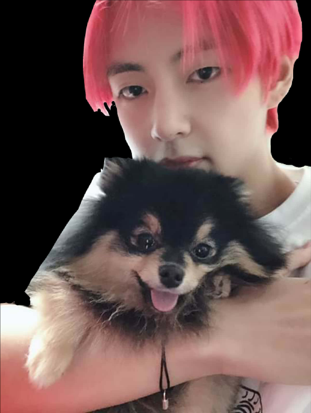 Man_with_ Pink_ Hair_and_ Pomeranian_ Dog PNG Image