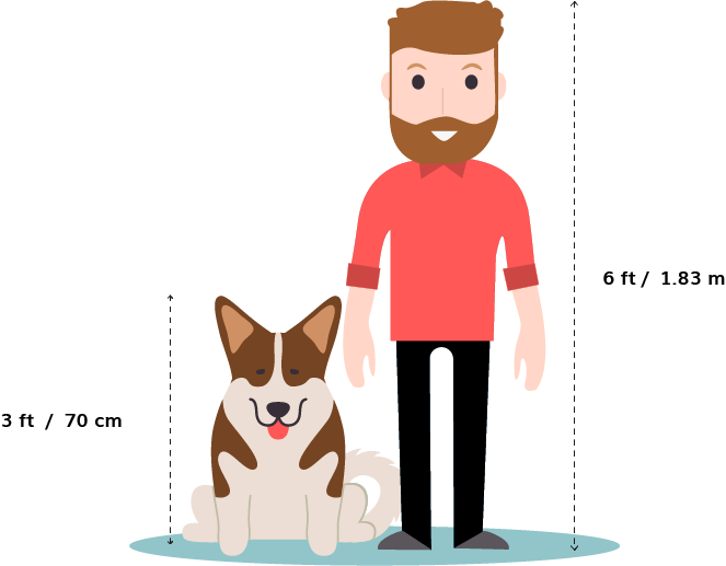 Manand Dog Size Comparison PNG Image