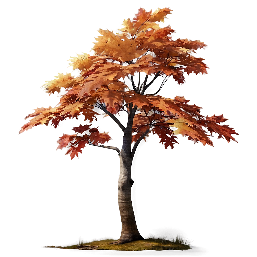 Maple Autumn Tree Png Rpe PNG Image