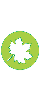 Maple Leaf Icon Green Background PNG Image