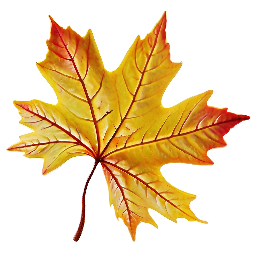 Maple Leaf In Fall Png Wpa67 PNG Image