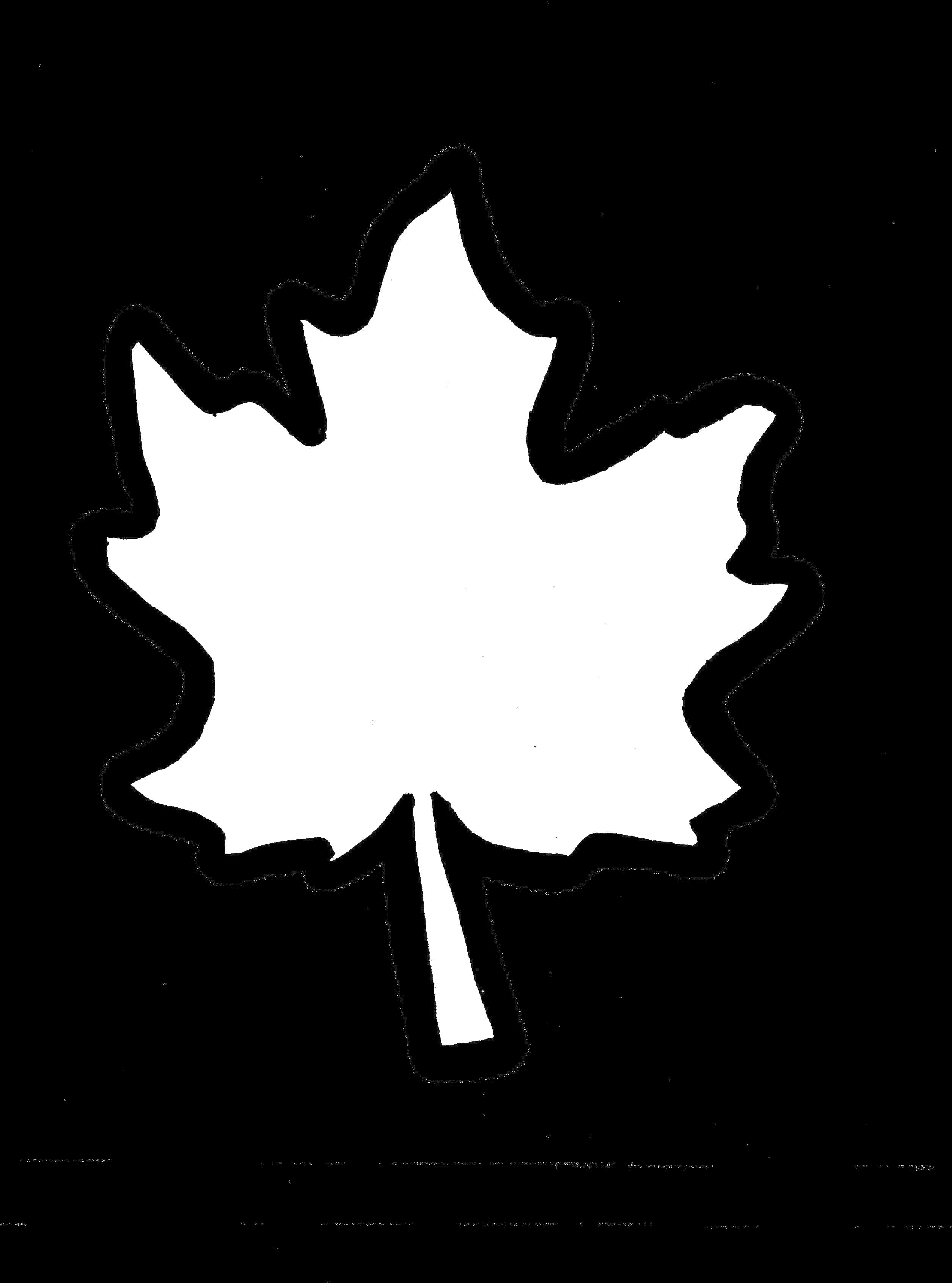 Maple Leaf Outline Clipart PNG Image