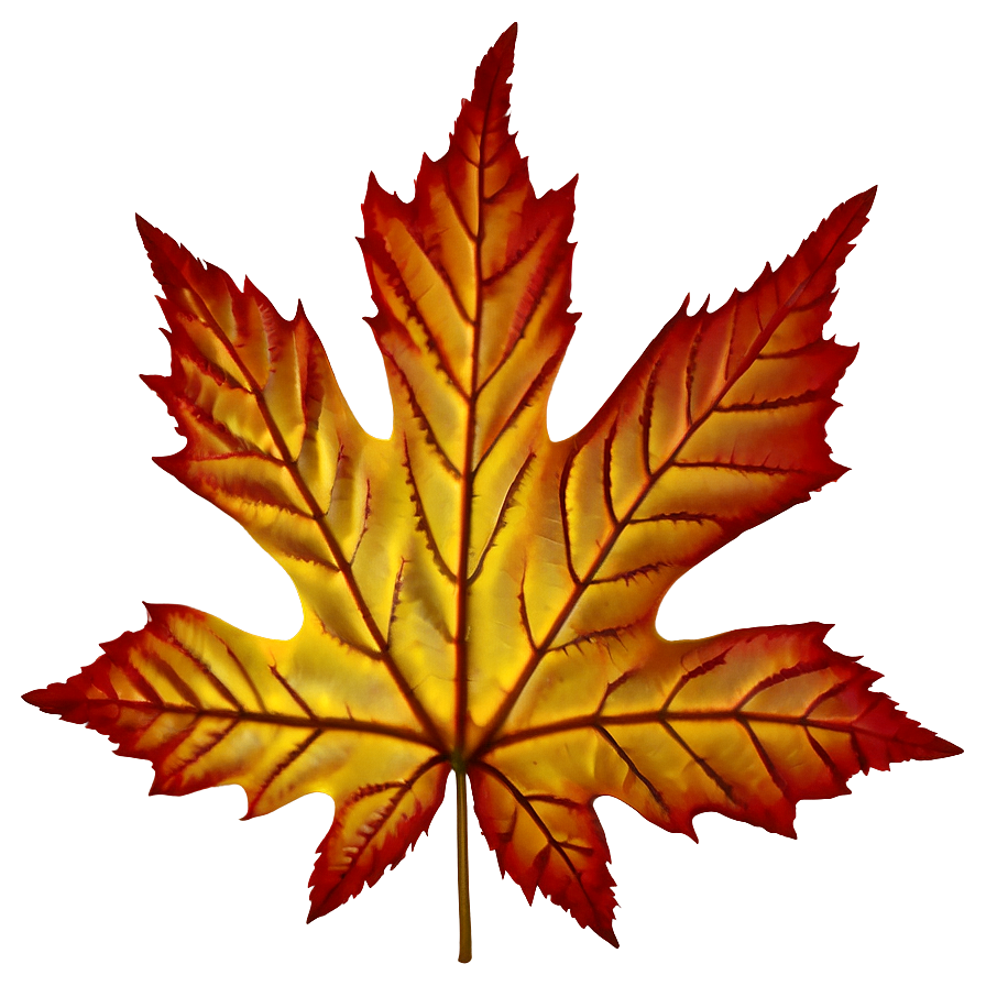 Maple Leaves Png Bfi PNG Image