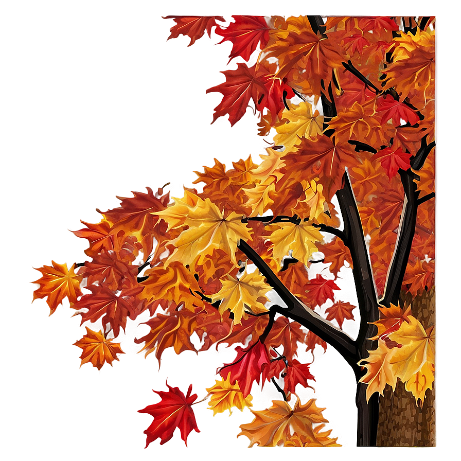 Maple Tree Autumn Splendor Png 26 PNG Image