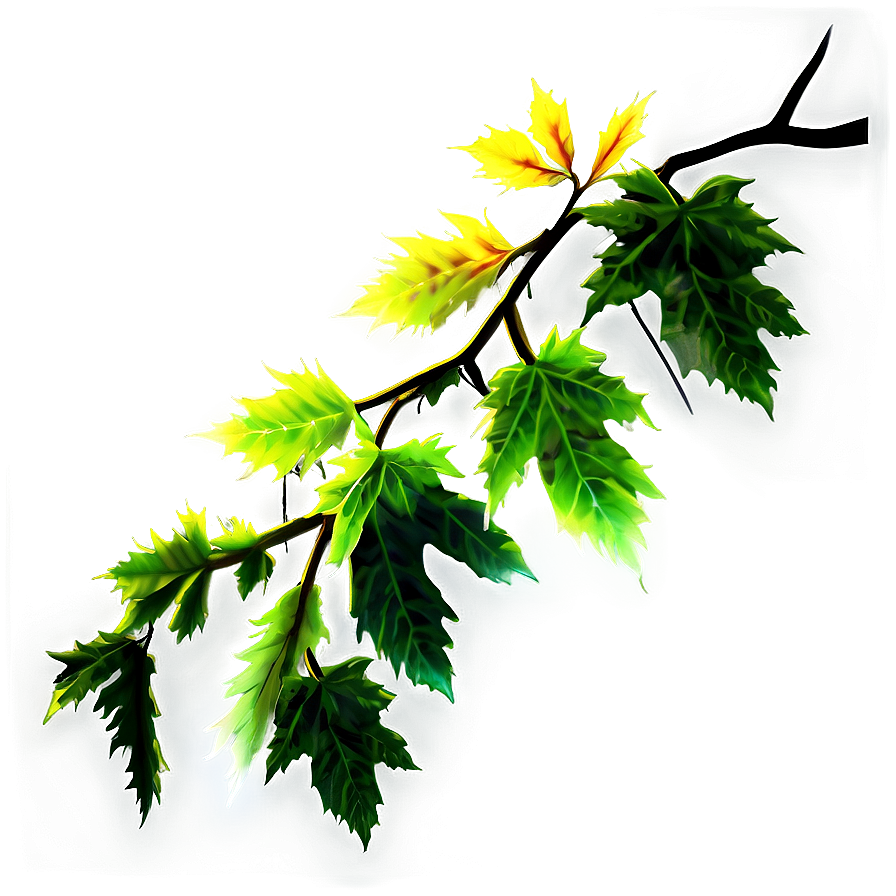 Maple Tree Branch Png Owf88 PNG Image