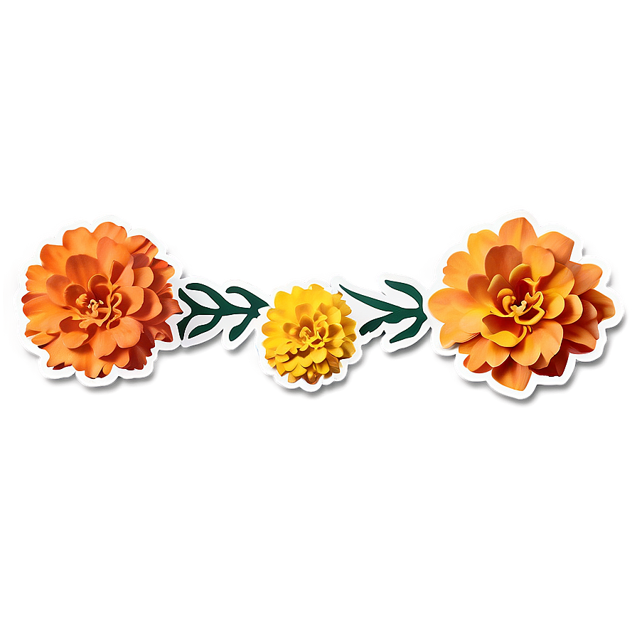 Marigold Day Of The Dead Png 06112024 PNG Image