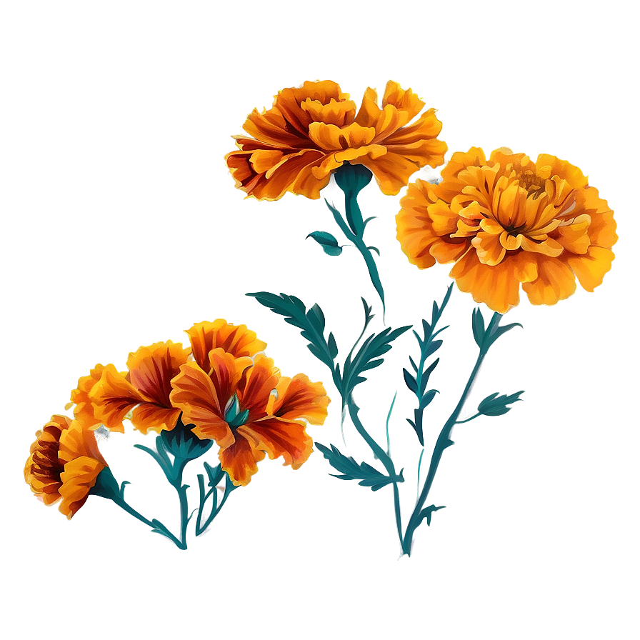 Marigold Fabric Print Png Yrc PNG Image